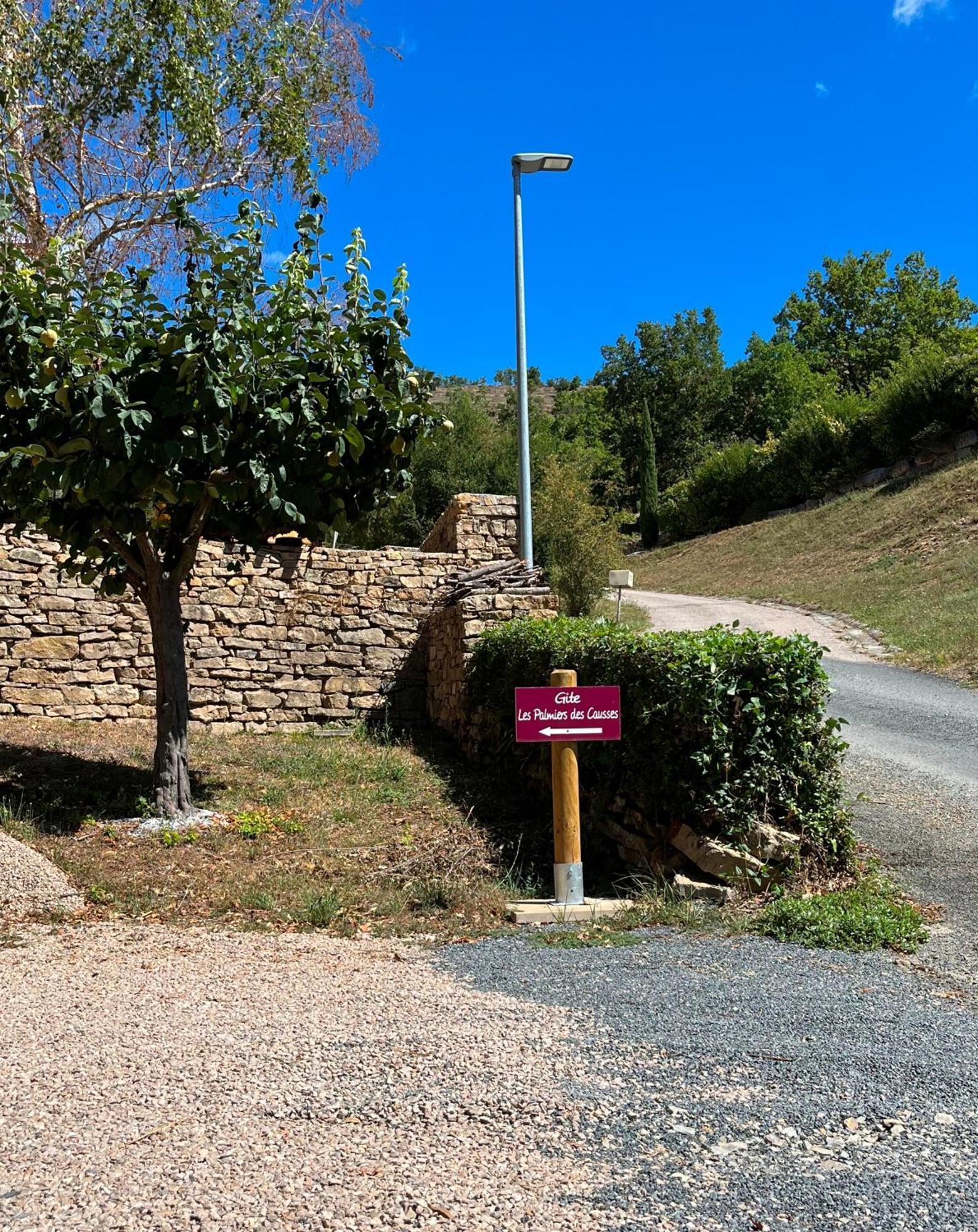 Les Palmiers Des Causses Villa Saint-Rome-de-Tarn Eksteriør bilde